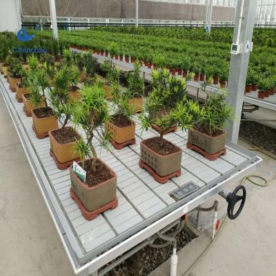 China Agriculture Planting 5Ft Flood Tray Nursery Bench Easy Flow Backflow Hydroponic Flood Table for sale