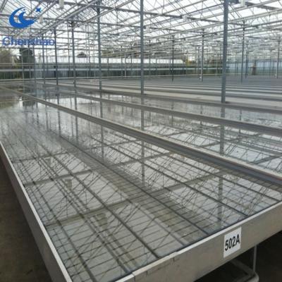 China Agriculture Planting Hydroponics Flood Table And Drain Tray Growing Rolling Benches for sale