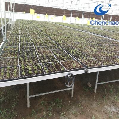 China Agriculture Planting Welded Wire Mesh Panel Table Top Greenhouse Rolling Bench For Flower Seedling for sale