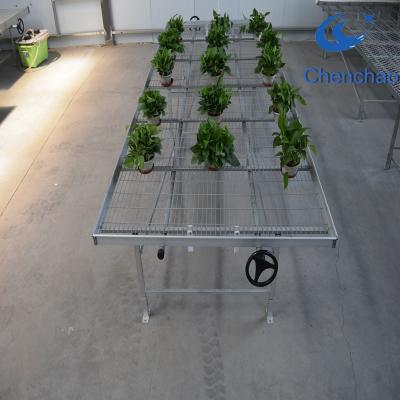 China Agriculture Planting Grow Strawberry Plants Greenhouse Benches Greenhouse Bench Rolling Top for sale