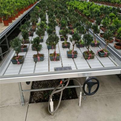 China Greenhouse For Agricultural Orchids Ebb And Flow System Commercial Seed Greenhouse for sale