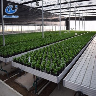 China High quality ABS hydroponics ebb and flow seeding bench for sale