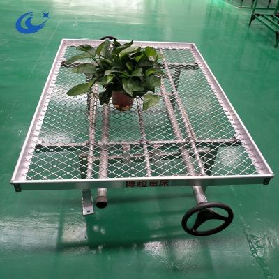 China Easily Assembled Expanded Metal Bench Mesh Panels Greenhouse Rolling Bench Top for sale