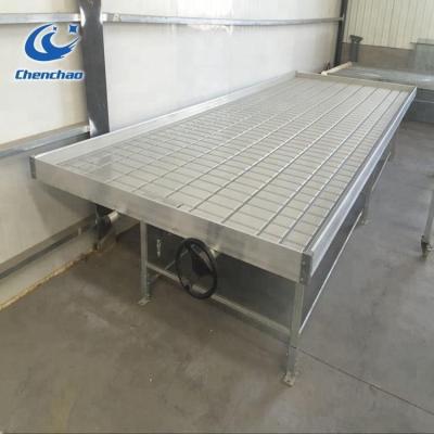 China Cheap price fruit vegetable flowers raise bench ebb and flood table for greenhouse for sale