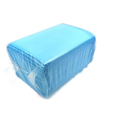 China Wholesale Stocked Click Pet Care Pads Disposable Pee Puppy Dog Cat Toilet Urine Training Pads For Dogs for sale