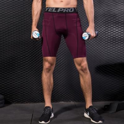 China Anti-static quick-drying compression shorts men's bodybuilding fitness shorts tight gym sweat men's short pants sports abbreviations running for sale