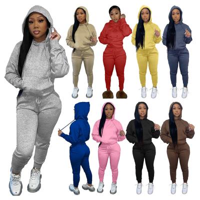 China Custom QUICK DRY logo women's fall/winter fleece hoodie two piece casual tracksuit for women for sale