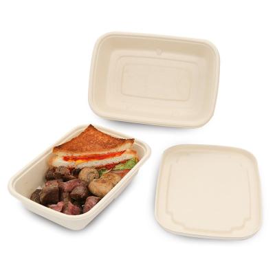 China Disposable biodegradable bagasse sugar cane pulp bagasse pulp food container take away lunch box for sale