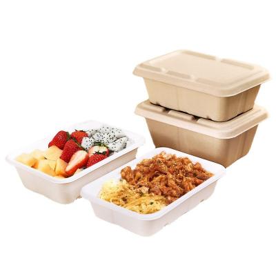 China Disposable Biodegradable Bagasse Sugar Cane Pulp Bagasse Pulp Food Container Take Out Lunch Box With Lid for sale