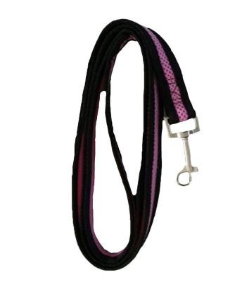 China Sustainable Dogs Collar And Leashes Pets Walking Fashionable Nylon Dog Leash for sale