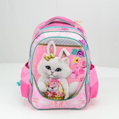 China Other Various Factory Sale Customize School Bags Kids Backpack Bookbags for sale