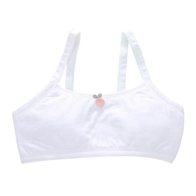 China Breathable 16 Year Old Bra High School Girls Comfortable Lingerie For Girls for sale