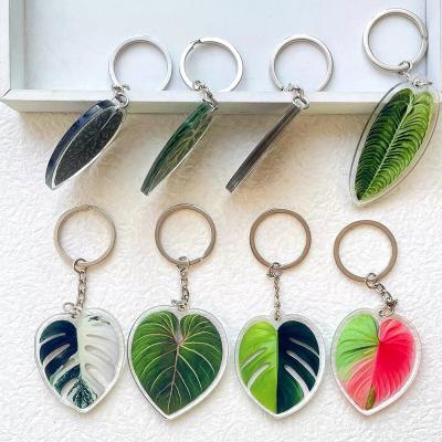 China Amazon Hot Sale Acrylic + Metal Key Chain Acrylic Key Chain Acrylic Sheet Design Metal Key Chain for sale