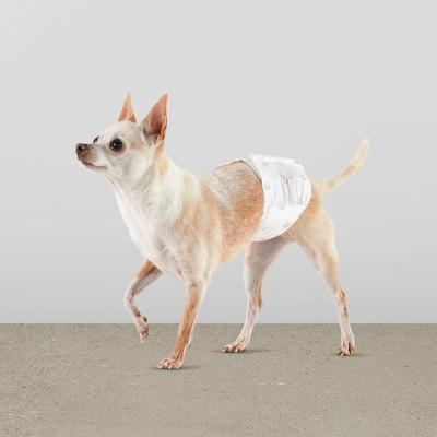 China Disposable diapers stocked supplier, dog size S M L for sale