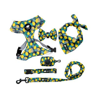 China Viable Harness Kit Lemon Style 6 in 1 Cat Leash Collar Bag Pet Harness Set Set for sale