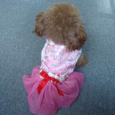 China S407 Viable Customized Cute Dog Pet Dress Pet Dress Fashionable Adorable Princess Dress Puppy Tutu Skirt for sale