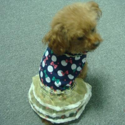 China S408 Viable Customized Cute Pet Dress Dog Pet Dress Fashionable Adorable Princess Dress Puppy Tutu Skirt for sale