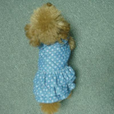 China S409 Viable Customized Cute Dog Pet Dress Fashionable Adorable Princess Dress Puppy Tutu Pet Skirt for sale