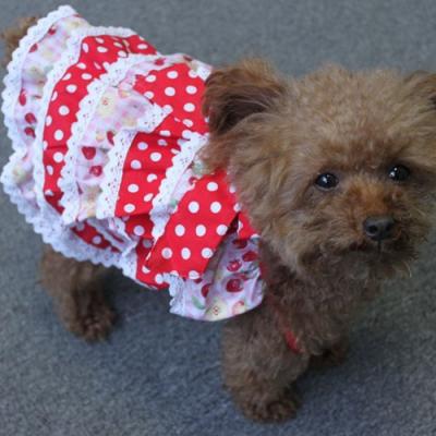 China S416 Viable Customized Cute Pet Dress Dog Pet Dress Fashionable Adorable Princess Dress Puppy Tutu Skirt for sale