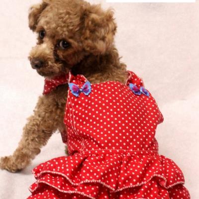 China Cute Viable Puppy Dog Tutu Dress Princess Skirt Red /Black/Green/Blue Dropshipping Accepted Small Available for sale