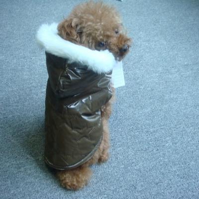 China 417 Sustainable Customized Adorable Cute Comfortable Soft Dog Indoor Sports Winterjacket / Wintercoat for sale