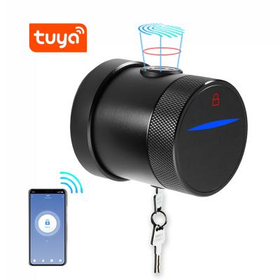 China Apartment tuya APP smart mobile waterproof biometric smart electric fingerprint door digital smart door lock for sale