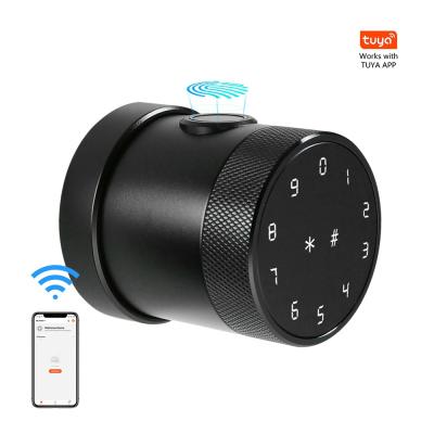 China Apartment biometrics finger lock wifi door lock smart digital fingerprint door locks for sale