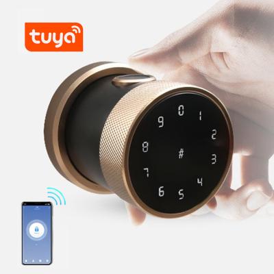 China High quality electronic lock smart wifi smart wifi apartment door lock hotel golden digital door lock for sale