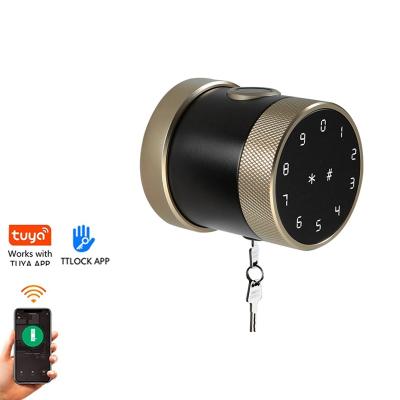 China Apartment tuya APP wifi bluetooth lock alexa fingerprint smart door lock gold smart lock for sale