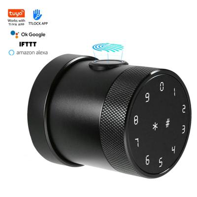 China TTLOCK Wireless Smart Auto Fingerprint,TUYA Apartment Digital Fingerprint Lock Smart Wifi Door Lock Door Lock Apartment for sale