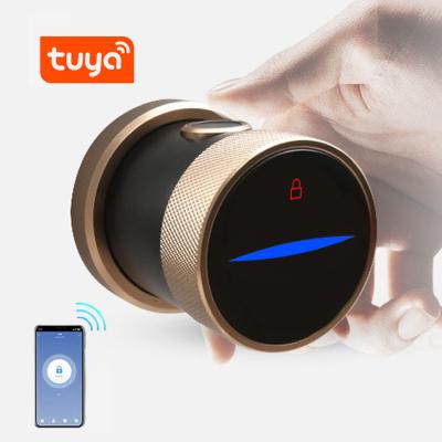 China Apartment Amazon nfc cheap wifi fingerprint smart home digital electronic door lock for sale