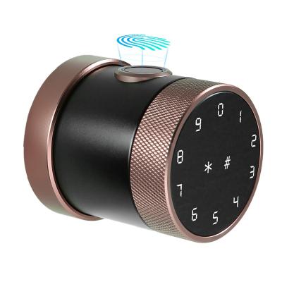 China Electronic Fingerprint Waterproof Smart Digital Door Apartment Lock Smart Home Lock with tuya APP for sale