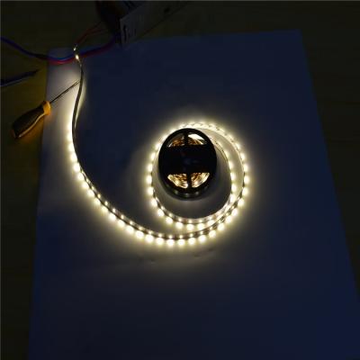 China DC24V/DC12V indoor and outdoor 60led/m 2835 LED strip lights for sale