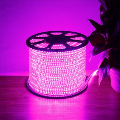 China Outdoor and indoor decoration violet pink smd3014 6mm flexible led strip light for sale