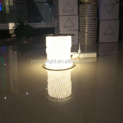 China Aluminum profiles 8MM decorative lighting high quality stable smd 5050 three chip 60leds/m led flexible strip light for sale