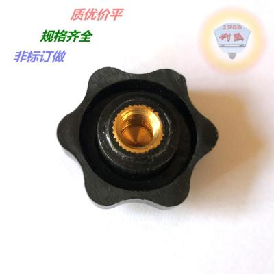 China New Type Steel Top Sale M4 M5 M6 M8 M10 M12 Small Screw Bolts With Plastic Handle Knob for sale