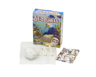 China Shell Excavation Kits Dig Out Eco-Friendly Material and Make Your Own Bracelet with Lovely Shell Children's Popular Science Education Toys for sale