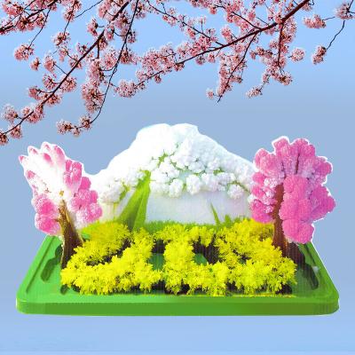 China Crystal Growing Mount Fuji non-toxic | Develops in hours | Funny experiments for children the best educational toys for sale