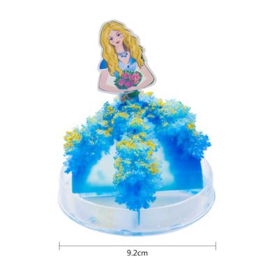 China Educational Princess Dress Magic Growing Crystal Paper Tree Crystallized Bloom of Yiwu Toy Children's Toys Beautiful Shiny of toys for sale