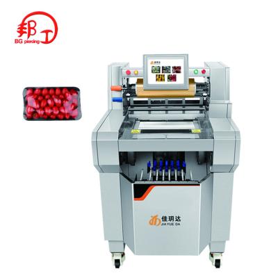 China New and Beautiful Vacuum Packing Machine Olive Oil Packaging Machine Meat Packing Fish Structure Machine for sale