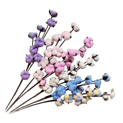 China Wholesale Beautiful Colorful Hand Made Spray Head Cotton Dried Flowers For Home Decoration for sale