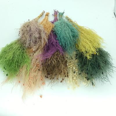 China Wholesale Colorful Preserved Beautiful Dreamy Flower Grass For Home Decoration for sale