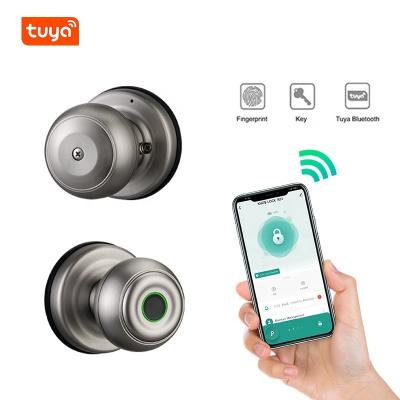 China Home Convenient and practical 2023 anti-theft Tuya APP fingerprint smart lock intelligent lock for sale