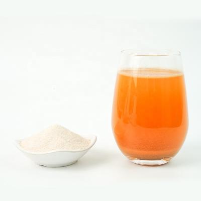 China Instant New Arrival fruit juice powder of sour plum powder drink With good service for sale