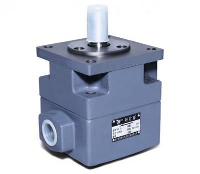 China Cutting Good Creditability YB-D Series Rotary Vane China Pump for sale