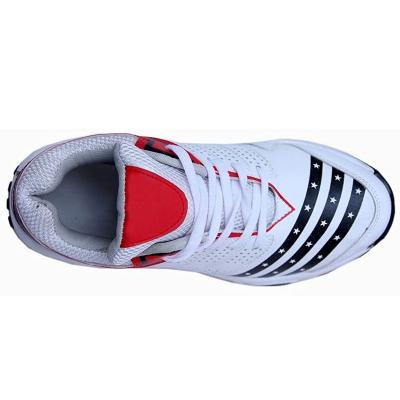 China Cricket Shoes Custom 1 Pair Cricket Spikes Shoes For Men for sale