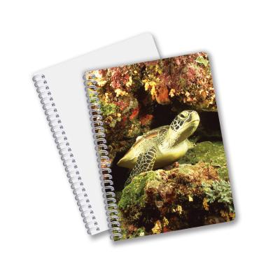 China School Stationery 3D Lenticular Advertising Custom Spiral Notebooks for Children Promotion Gift for sale