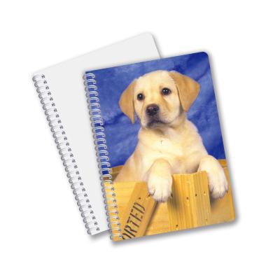 Cina Cina Fabbrica 3D Lenticolare Custom offset stampato PET A3/A4/A5/A6 Notebooks in vendita