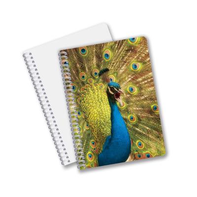 China Good Quality Personalized 3D lenticular PET material Promotion Gift Spiral 3D Printing Notebook for sale