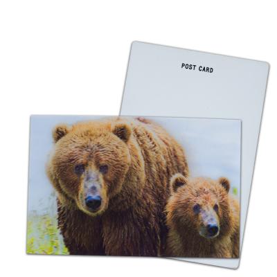 China Brown Bear In Alaska Lenticular Card Souvenir Gift Card For Tourist 3d Postcards for sale